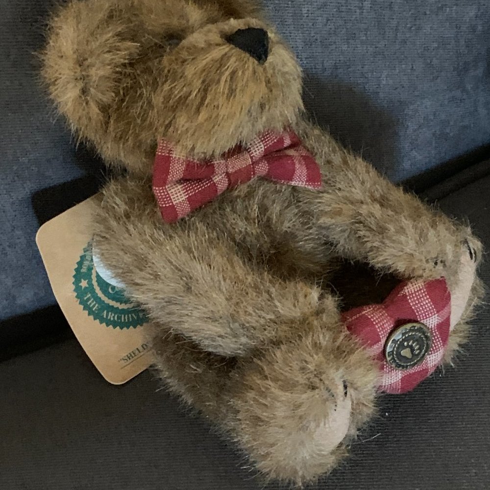 Boyds "Sheldon Bearchild" with tags - Picture 4 of 5